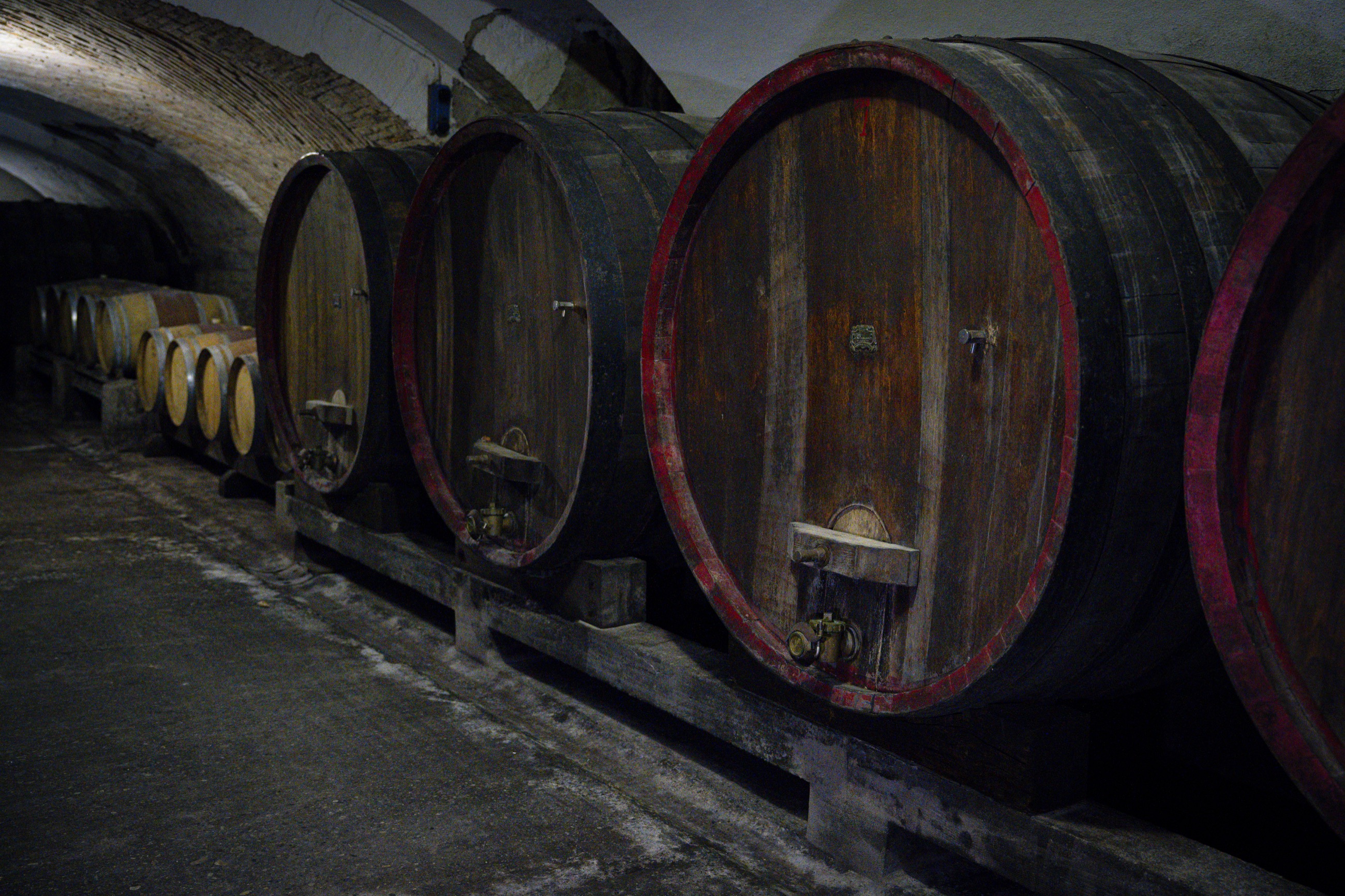 Le grandi botti di rovere nella cantina storica Barattieri