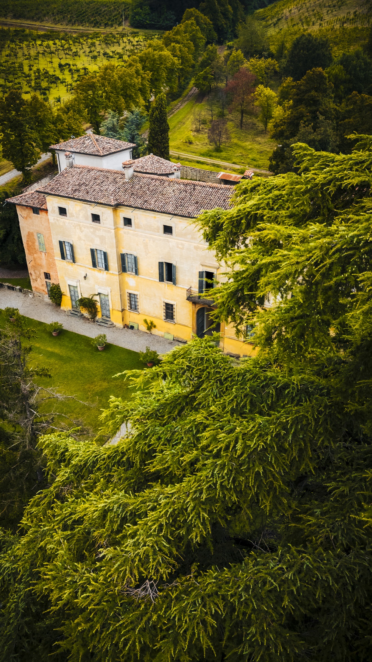 Villa Barattieri immersa nel verde, vista dal drone